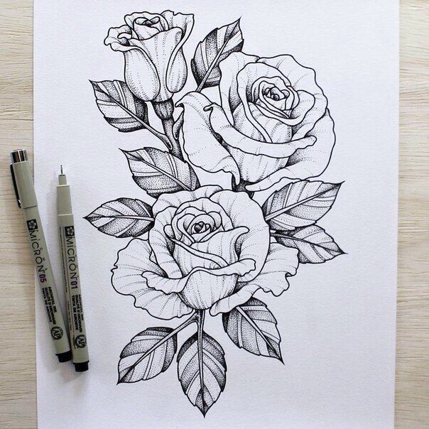 Similar designs-sketches for tattoos in the form of a rose are quite popular