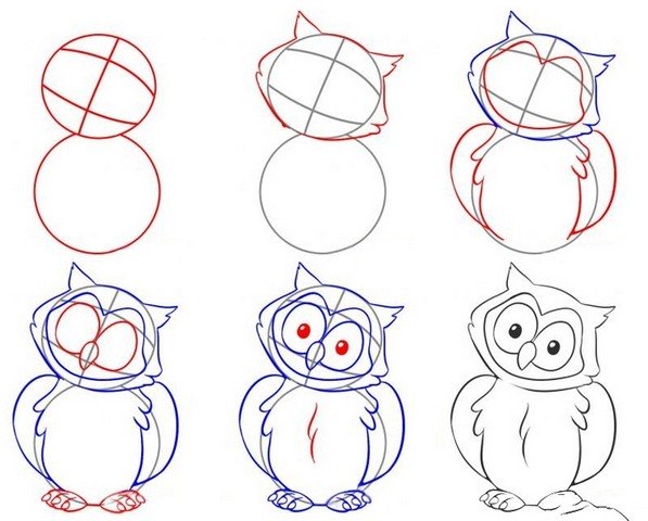step by step drawing of an owl
