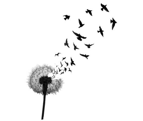 Popular sketch for female tattoo - birds flying out of a dandelion