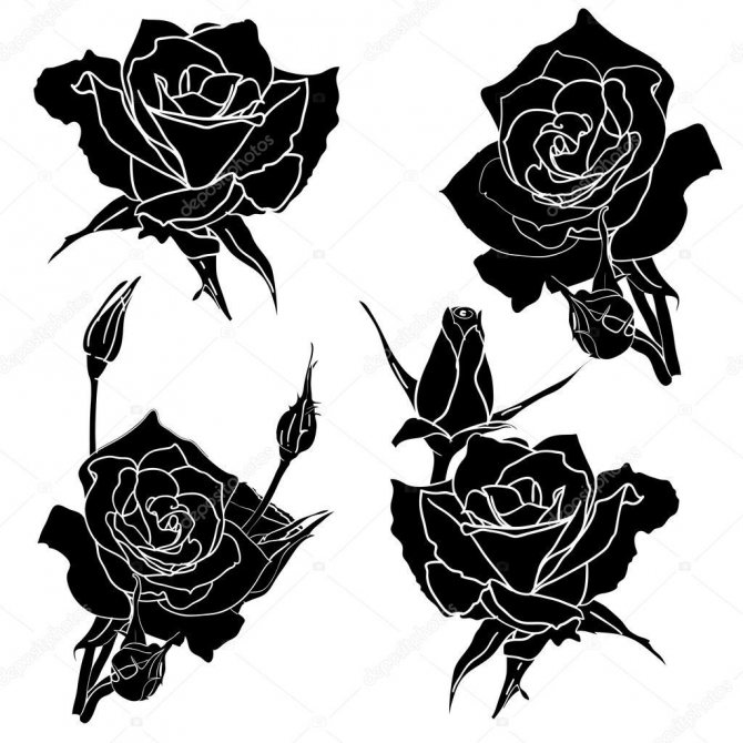 Beautiful rose tattoo designs