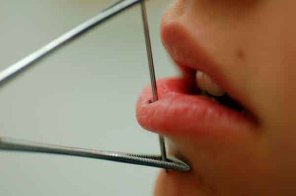 Processo del piercing al labbro