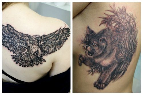 A bird and a cat on a woman's body.