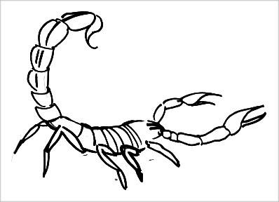Coloring Scorpion