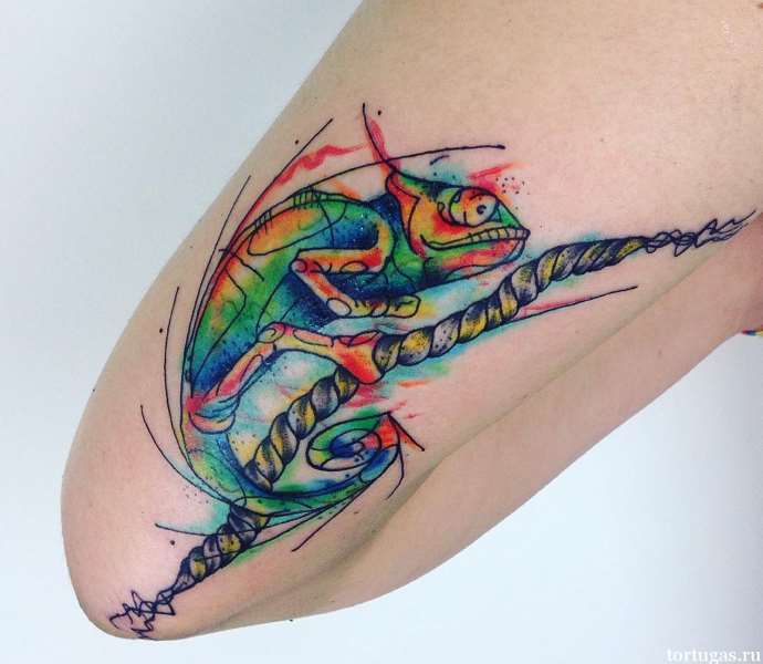 colored chameleon on the arm