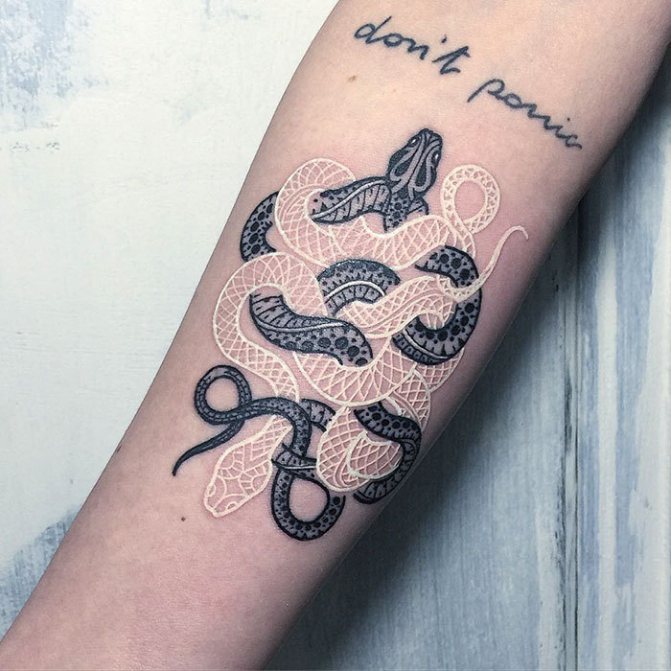 Various snake tattoos