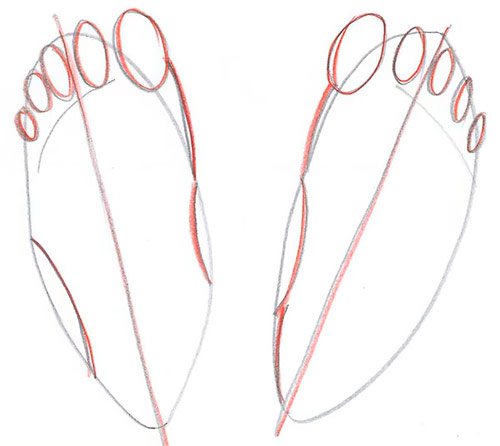 Desenează două picioare - Vedere de sus - Pasul 4