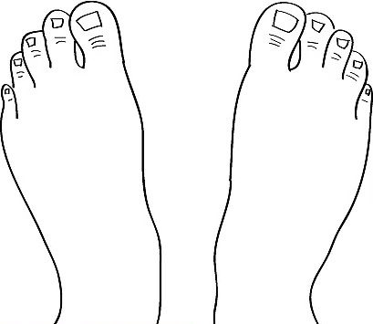 Drawing Two Feet - Top View - Step 8