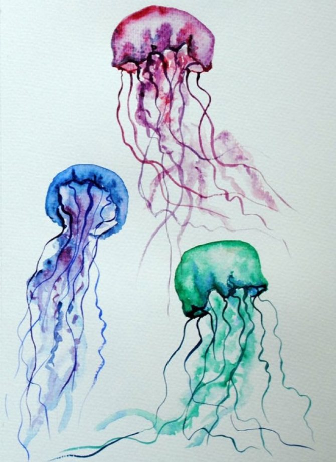 Jellyfish drawings that can be useful for tattooing