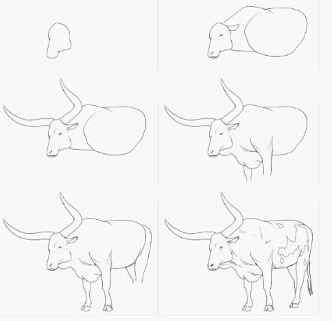 Drawing a buffalo
