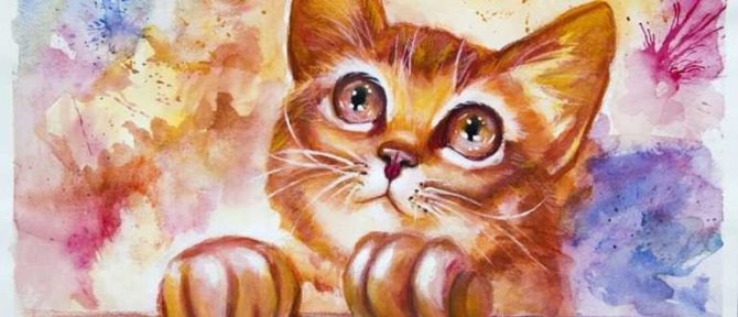 kitten drawing with paints