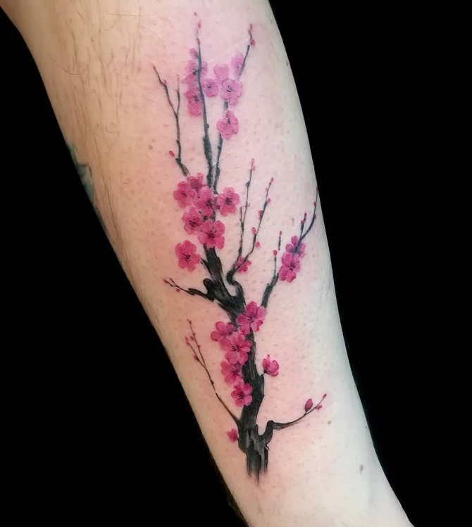 Tattoo Young Cherry Tree on Hand