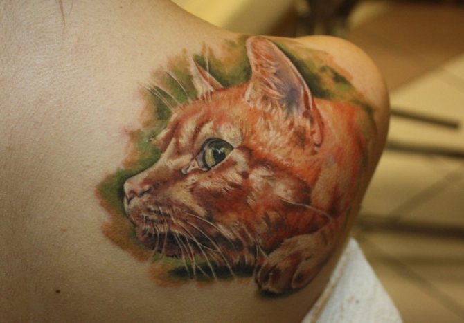 Tatuaggio del gatto rosso