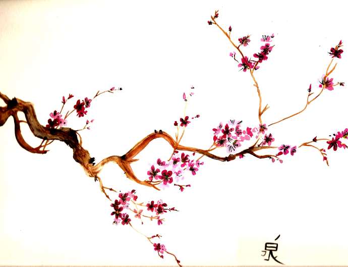 gorgeous sakura sketch