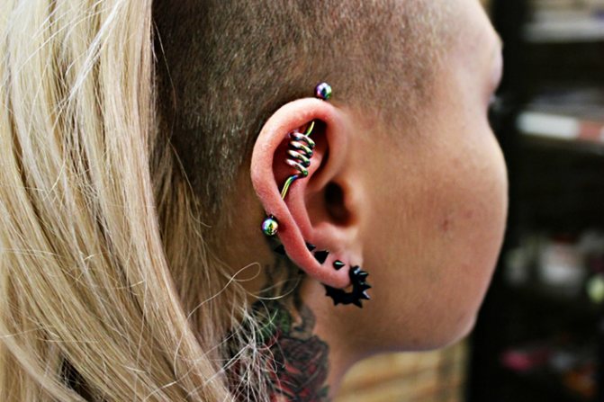 The rod in the ear. Photo of the industrial, how it is called, how long it overgrows, where to buy, the price