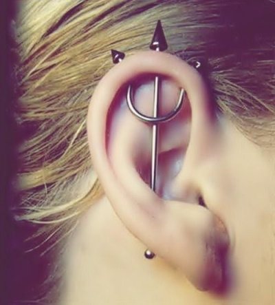 The rod in the ear. Photo industrial, how it is called, how long it grows back, where to buy, price