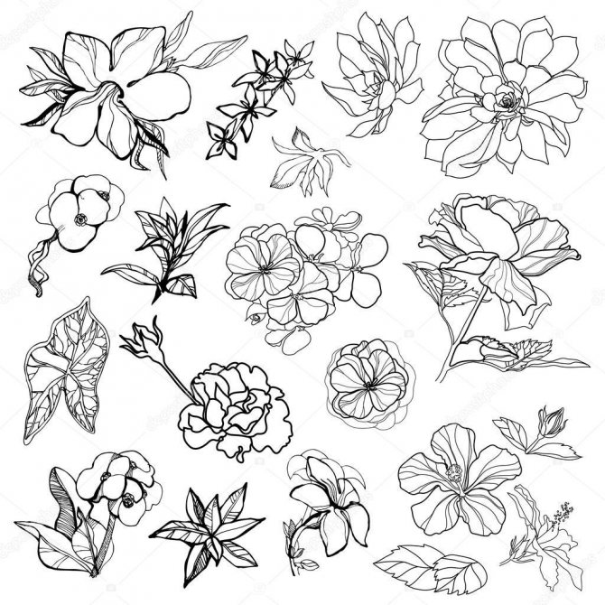Cute sketches for flower tattoo