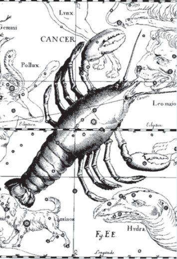 Constellation of Cancer. Illustration from the astronomical atlas Uranography by J. Hevelius. Hevelius