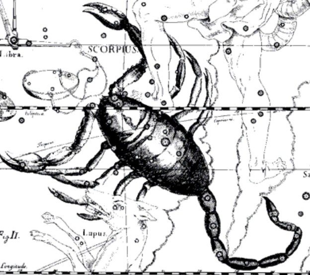 The constellation of Scorpio. Illustration from the astronomical atlas Uranography by J. Hevelius. Hevelius.