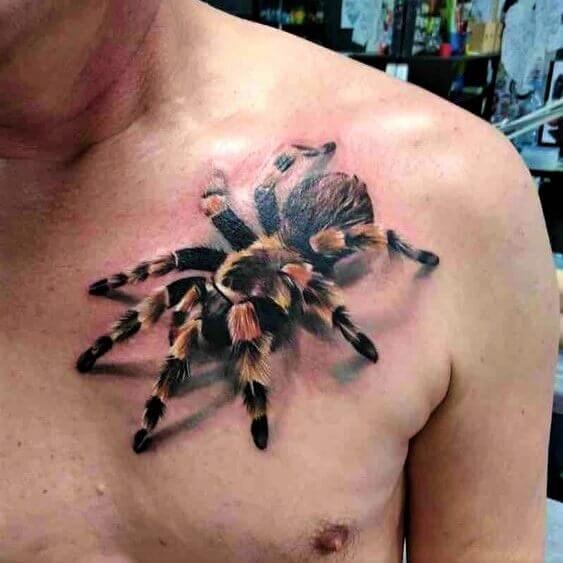 Tarantula on his chest