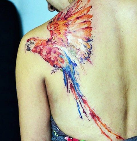 Tattoo-acquired parrot on the shoulder blade and back