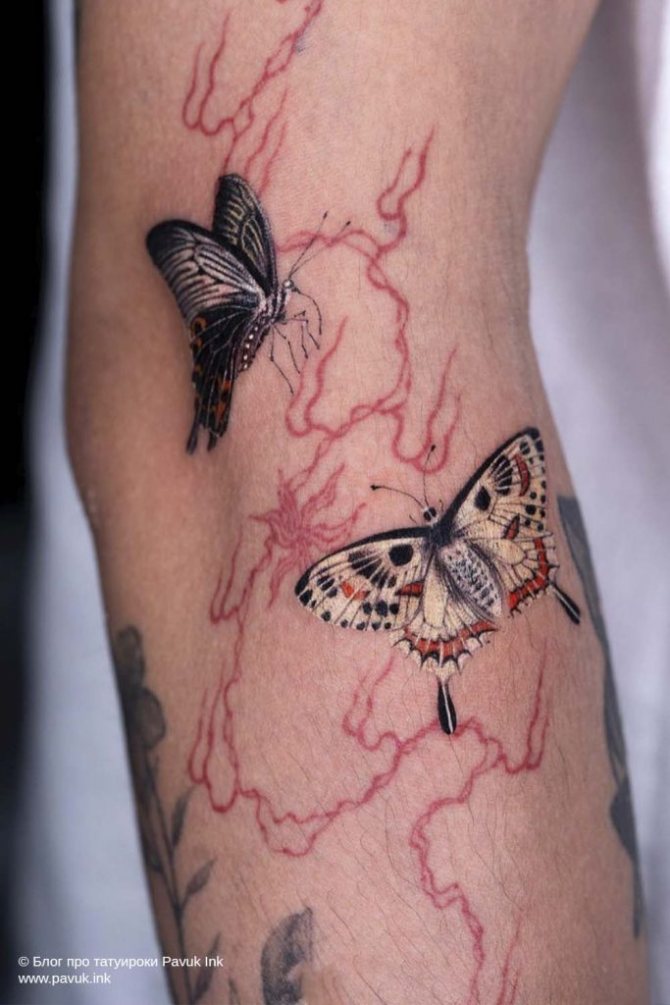 butterfly tattoo 14