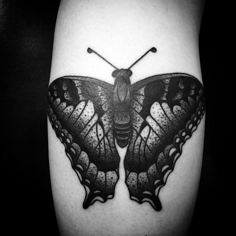 Tattoo male butterfly on back