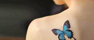 significato del tatuaggio della farfalla