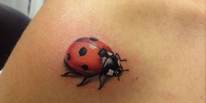 Tattoo ladybug 3D