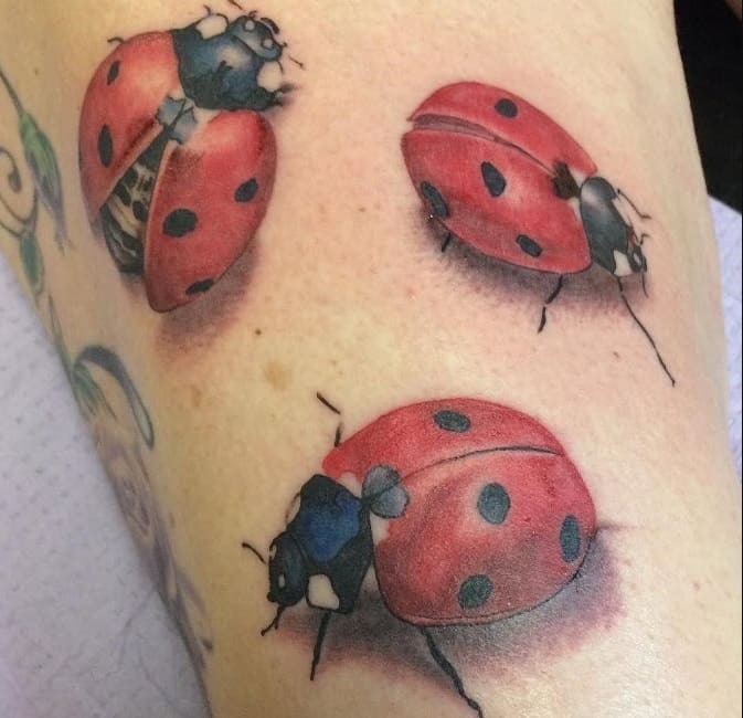 tattoo ladybug meaning for men