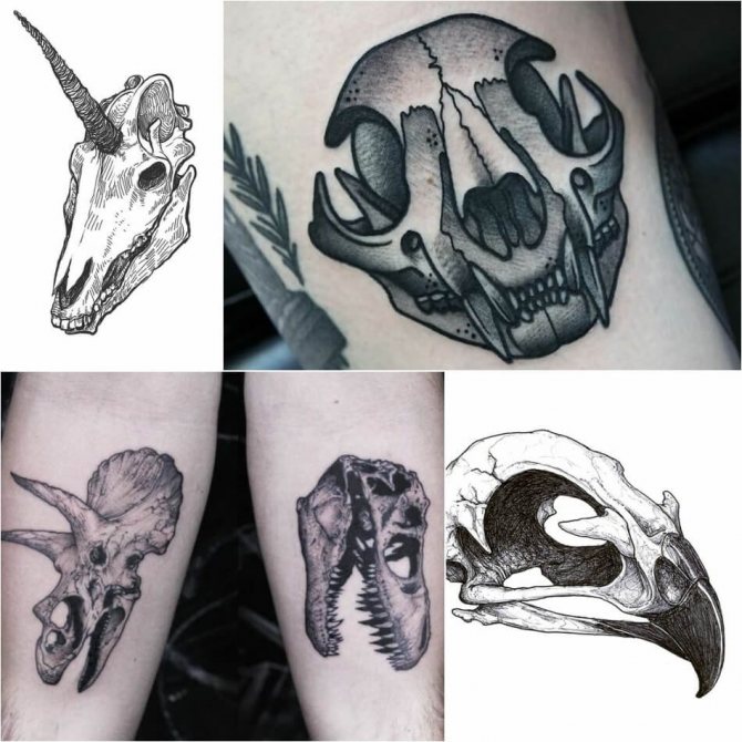 Skull Tattoo - Animal and Bird Skull Tattoo - Skull Tattoo