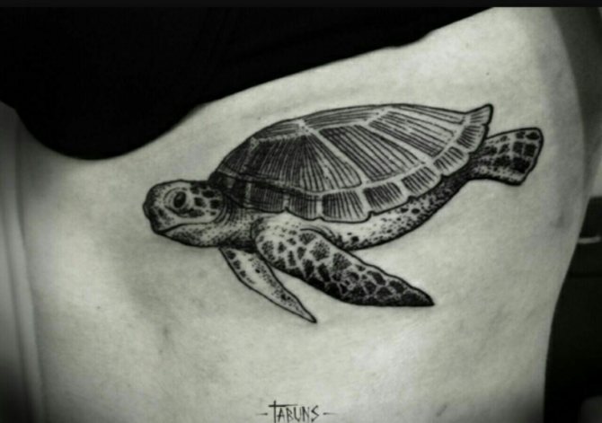 tattoo turtle