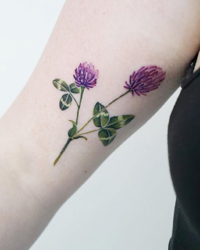 Tattoo of a shamrock flower