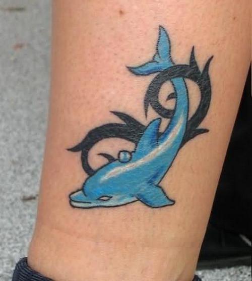dolphin tattoo photo