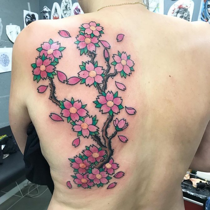 Tattoo Sakura Tree on Women's Back