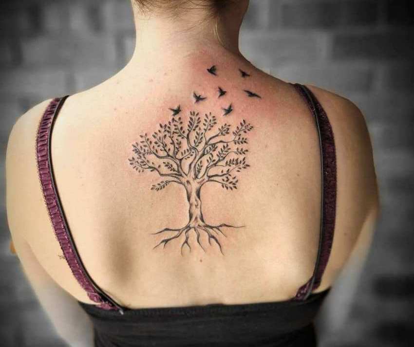 Tattoo of life tree and birds on back