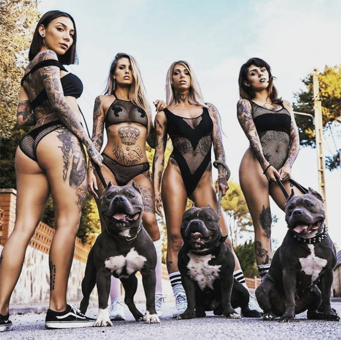 Tattoo girl with dogs