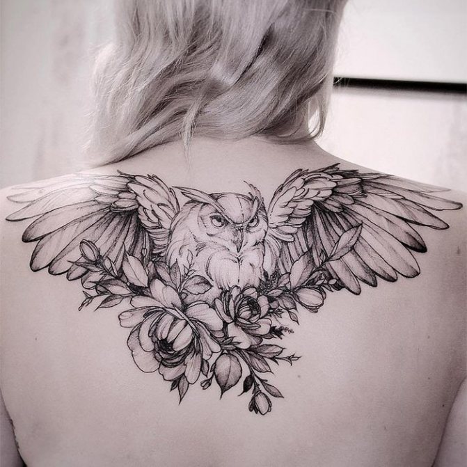 Tattoo pictures of an owl spreading her wings