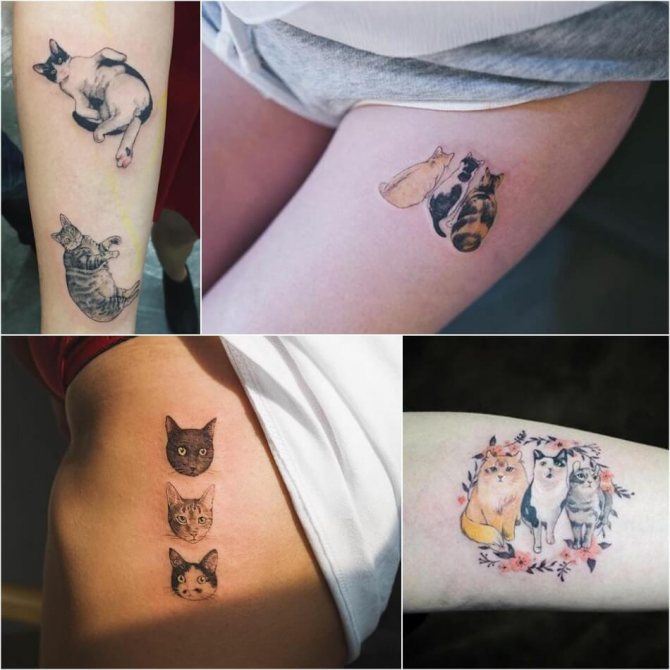 Tattoo for girls - Tattoo cat for girls - Lady cat tattoo