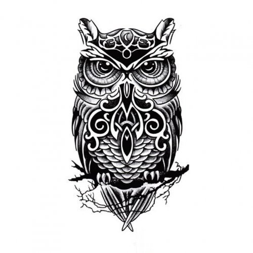 Tattoo male sketches black and white, owl sketch