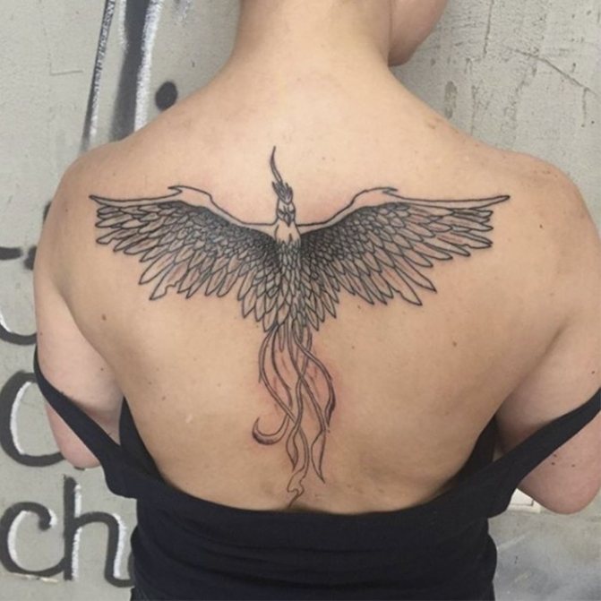 tattoo phoenix on his back