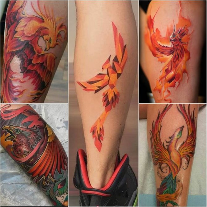 Tattoo Phoenix - Tattoo Phoenix on Leg - Phoenix tattoo on Leg