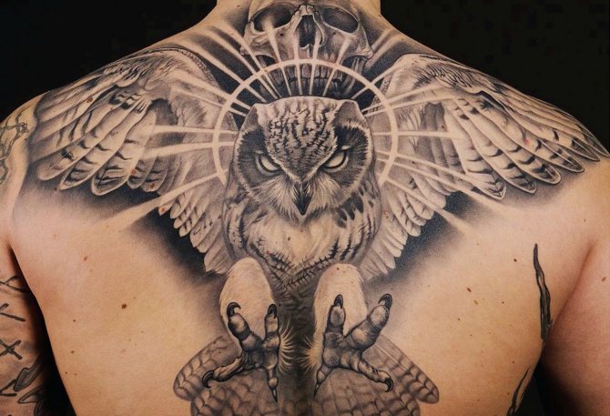tattoo eagle owl