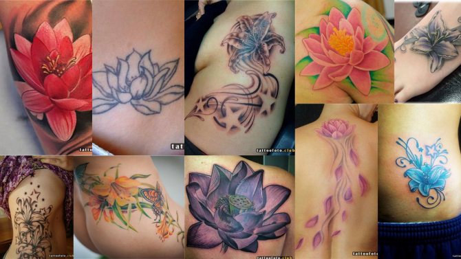 water lily photo tattoo