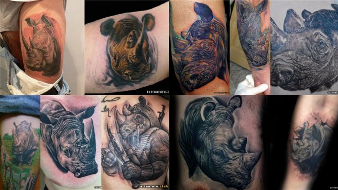 Tattoo photo with rhinoceros