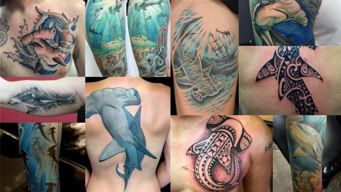 Tattoo photo with a hammerhead fish