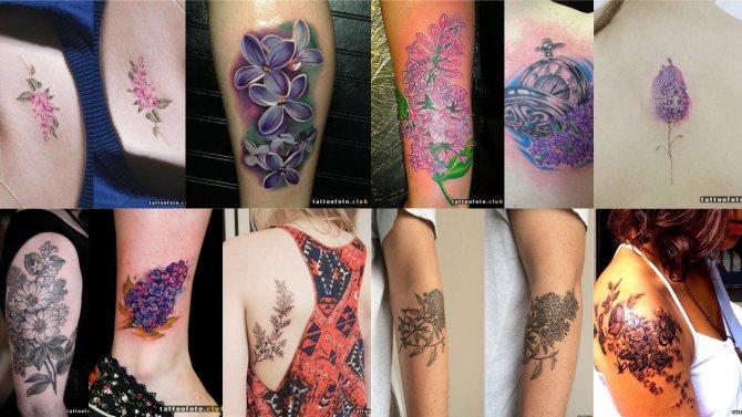 Tattoo pictures of lilacs