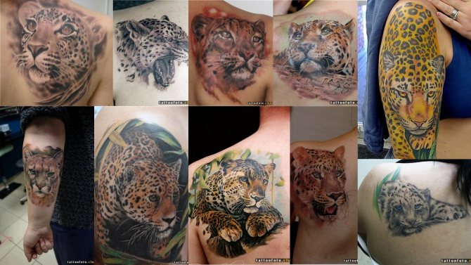 picture tattoo with jaguar
