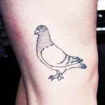 Tattoo of a dove