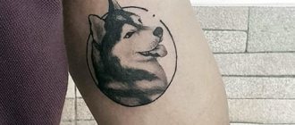 Tattoo husky
