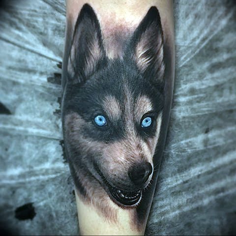 Husky tattoo - photo